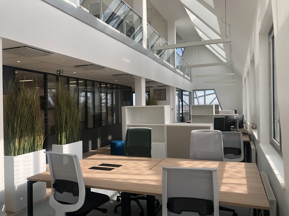 A photo of a very bright workspace, with in the foreground a table of four seats with modern office chairs. In the background, other desks, white low cabinets and green plants on the side.